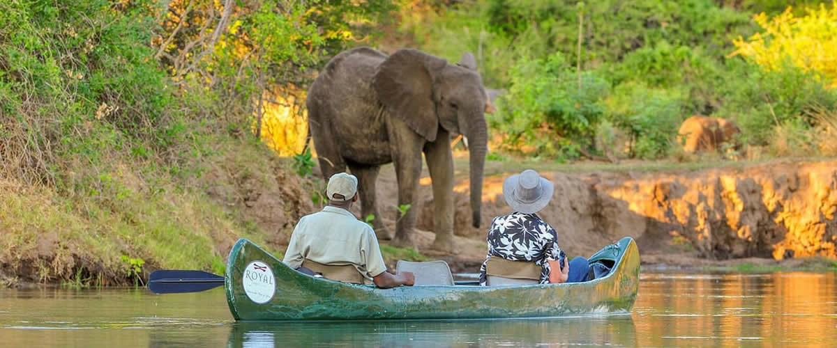 Royal Zambezi Canoing with ellies