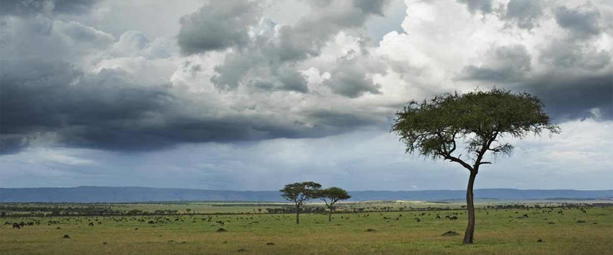 Singita Mara River Tented Camp