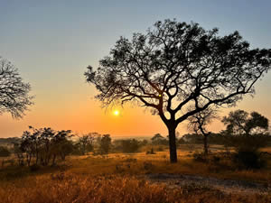 Leopard Hills sunset