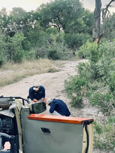 Leopard Hills Tracking