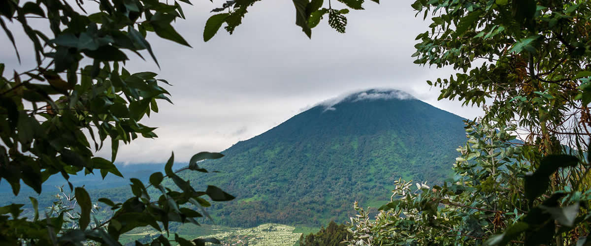 Wilderness Bisate Rwanda 