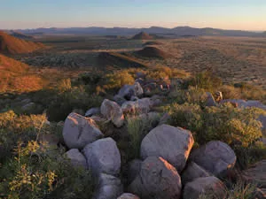 Tsawalu - Kalahari